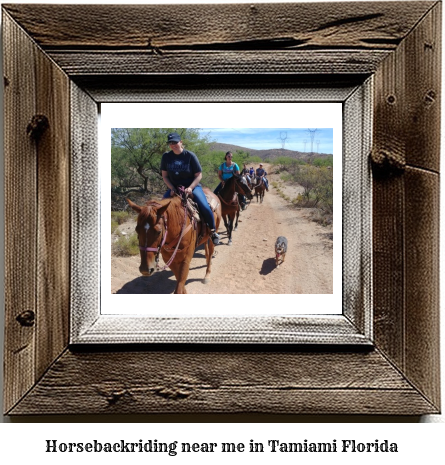 horseback riding near me in Tamiami, Florida